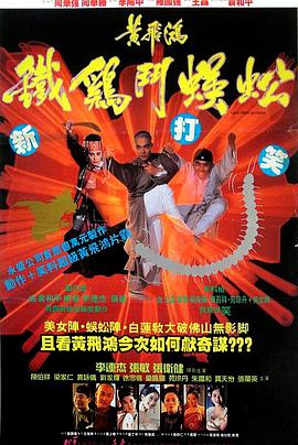 《善良岳母：我爱我的女婿》海报